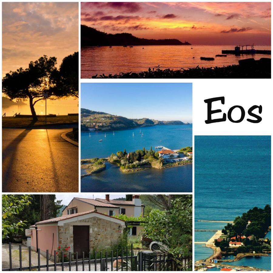 Apartment Eos ストゥルニャン エクステリア 写真